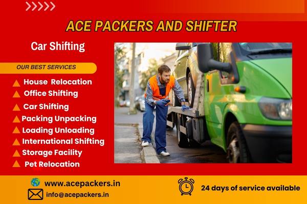 ACE Packers and Shifter